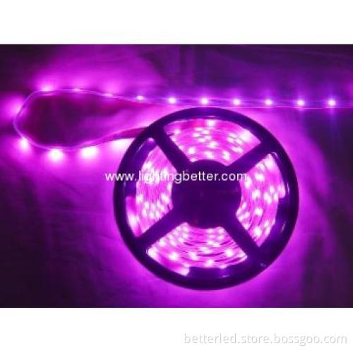 High brightness PU waterproof SMD3528 Led band with 60leds/m